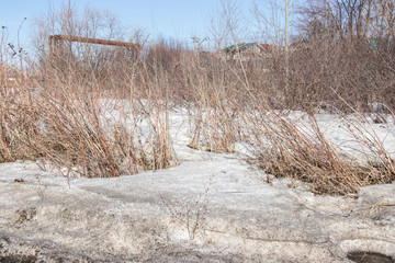 Snowy forest in spring, lit by the bright sun under a blue sky in spring. Landscape of spruce, fir, birch. Suitable for printing on banners, envelopes, postcards, mugs, magazines