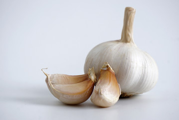 fresh garlic on a white background