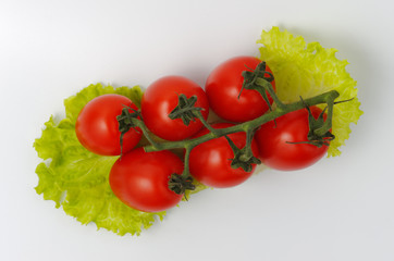 Cocktail tomatoes on a branch lie on lettuce leaf. White background. Top View.