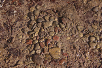 Wet rocky road texture. Grift that is pushed into mud.