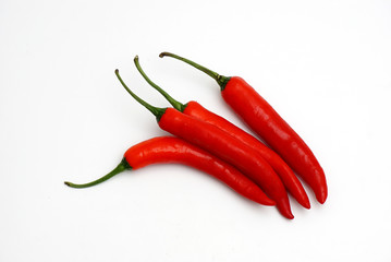 red chili on a white background