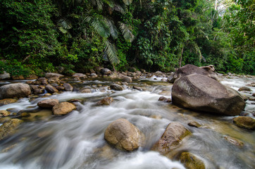 Naklejka na ściany i meble Slow motion water flow in the river at Sungai Sedim, Kedah.