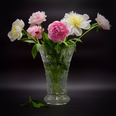bouquet of flowers in a vase
