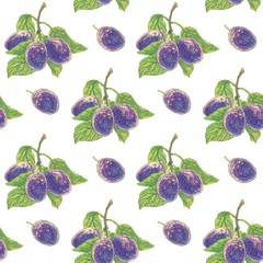 Seamless pattern with ripe plum on white background for wrapper, textile, scrapbooking paper
