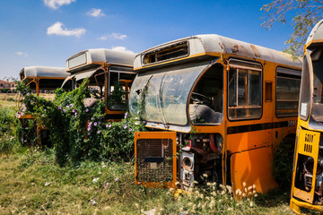 Destroyed Buses on the Tank Graveyard in Asmara, Eritrea