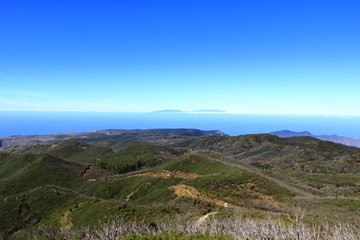 View from the summit of Garajonay on charred shrubs and trees, traces of the forest fire of 2012, on the horizon the island of La Palma, La Gomera, Canary Islands, Spain