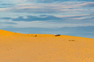 Fototapeta na wymiar Golden sand dune and beautiful sunset sky for background