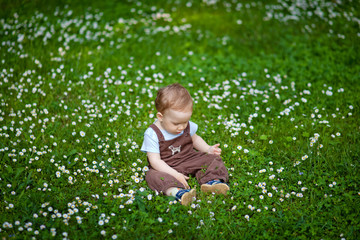 Charming boy among green grass and beautiful daisies on a summer day. A small child has fun in the fresh air. Baby explores the nature of