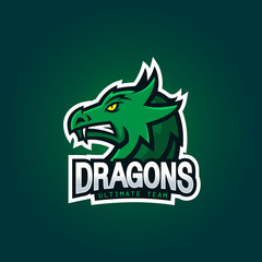 dragon head - logo for esport, Mascot design