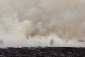 Big smoke cloud on black burned field under the high voltage wires, air power line destruction damage