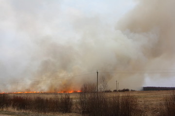 Spring dry burning field landscape, wild fire and smoke on horizon