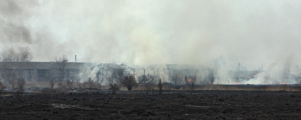 Fire on abandoned farm, panoramic view through the smoke on the ashes rural barns