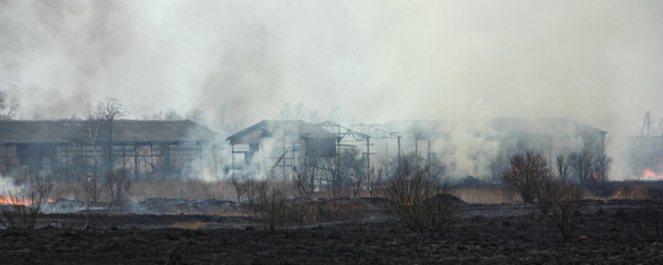 Fire on abandoned farm, panoramic view through the smoke on the ashes rural shads
