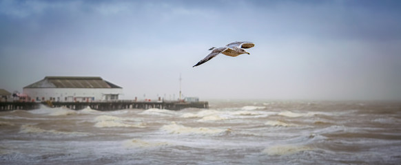 Seagull flying over the stormy sea in Clacton-on sea