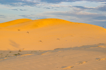 Fototapeta na wymiar Golden sand dune and cloudy sky at sunset 