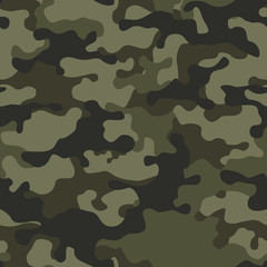 Seamless camouflage pattern. The print on the fabric. Modern vector design