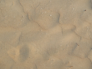 a close up of a sandy beach texture