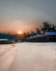 Koh Rong islang in Cambodia, Tropical palm trees and bungallows