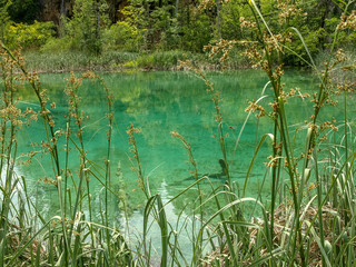 Small lake  in the green summer forest with turquoise water