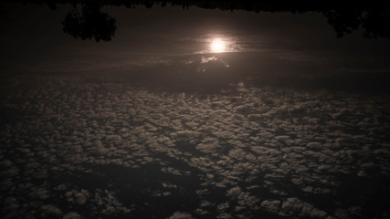 The morning sun hit the water surface.