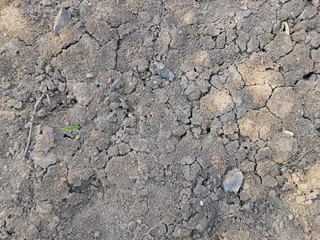
Background and texture: dry cracked earth