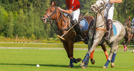  horse polo players strikes the ball with a hammer. Two polo pony runs. Summer season, green cut...