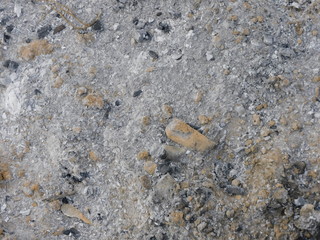 
Texture: ash and ash from burned wood