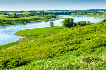 Banks of the River