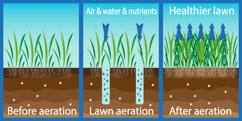 Aeration of the lawn. Enrichment with oxygen water and nutrients to improve lawn growth. Before and after aeration: gardening, lawn care services. Advantages, aeration