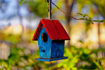 Bird House