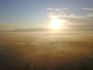 Aerial view foggy cloud at forest. Early morning sunray at forest.