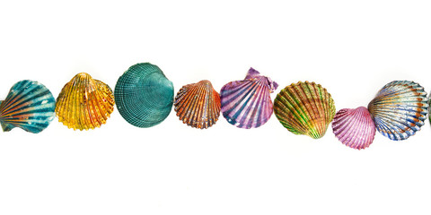 decorative painted sea shells isolated on white