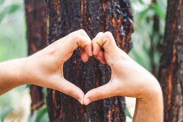 close up view of man hands making heart shape against tree trunk