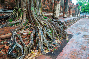 Thailand - Ayutthaya
