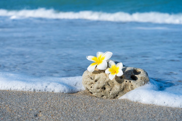 A small stone of an interesting smooth form is washed by waves on the beach. Calm and relaxation by the sea concept