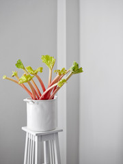 Bunch of rhubarb in the white pot