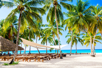 Palm trees on the caribbean tropical beach with sun shade, Saona Island. Dominican Republic. Vacation travel background