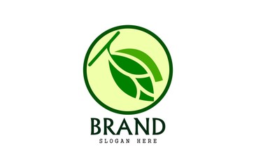 Leaf logo, free hand vector leaf, leaf with frame and brand