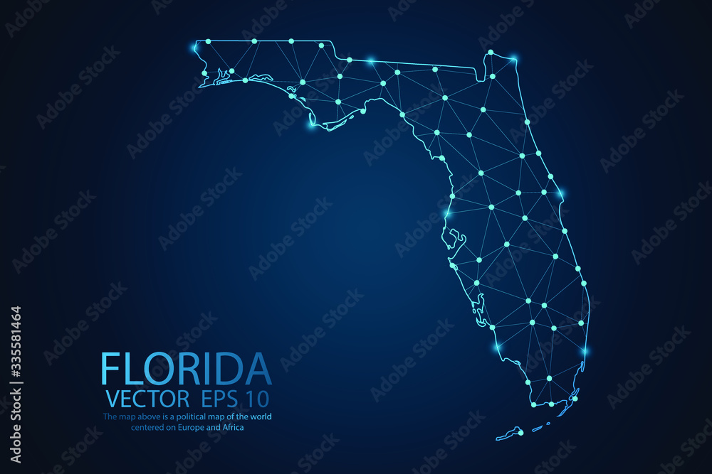 Wall mural abstract mesh line and point scales on dark background with map of florida. wire frame 3d mesh polyg