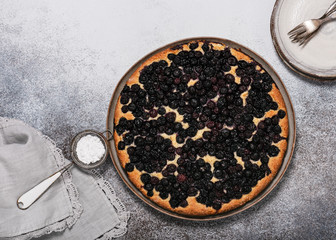 Homemade curd cake with blueberries on rustic background. Delicious sweet food concept. Copy space. Flat lay.
