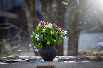 Bouquet of the first spring flowers in a dark vase in nature.