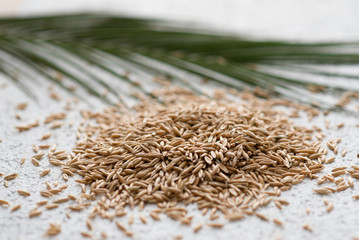 oatmeal grains on a white background scattered with a palm branch
