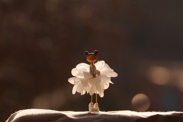 Fairy light