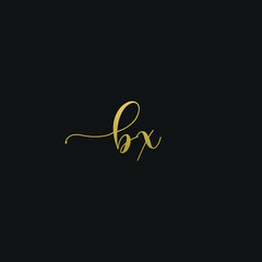 Creative modern elegant trendy unique artistic BX XB X B initial based letter icon logo