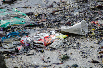 Plastic rubbish at coastal.