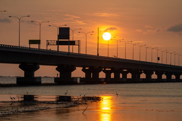 Fototapeta na wymiar Penang Bridge during sunset hour. Crane birds looking for food at coastal of sea.