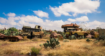 Fototapeta premium Destroyed War Cars arounded by Cactus on the Tank Graveyard in Asmara, Eritrea