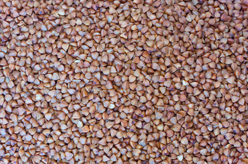 buckwheat grains background