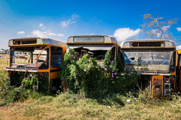 Crushed Buses on the Tank Graveyard in Asmara, Eritrea