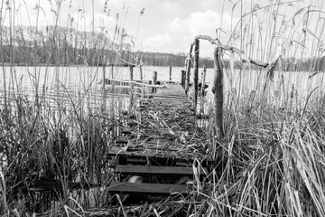 Bridge on a lakeside surrounded with reeds